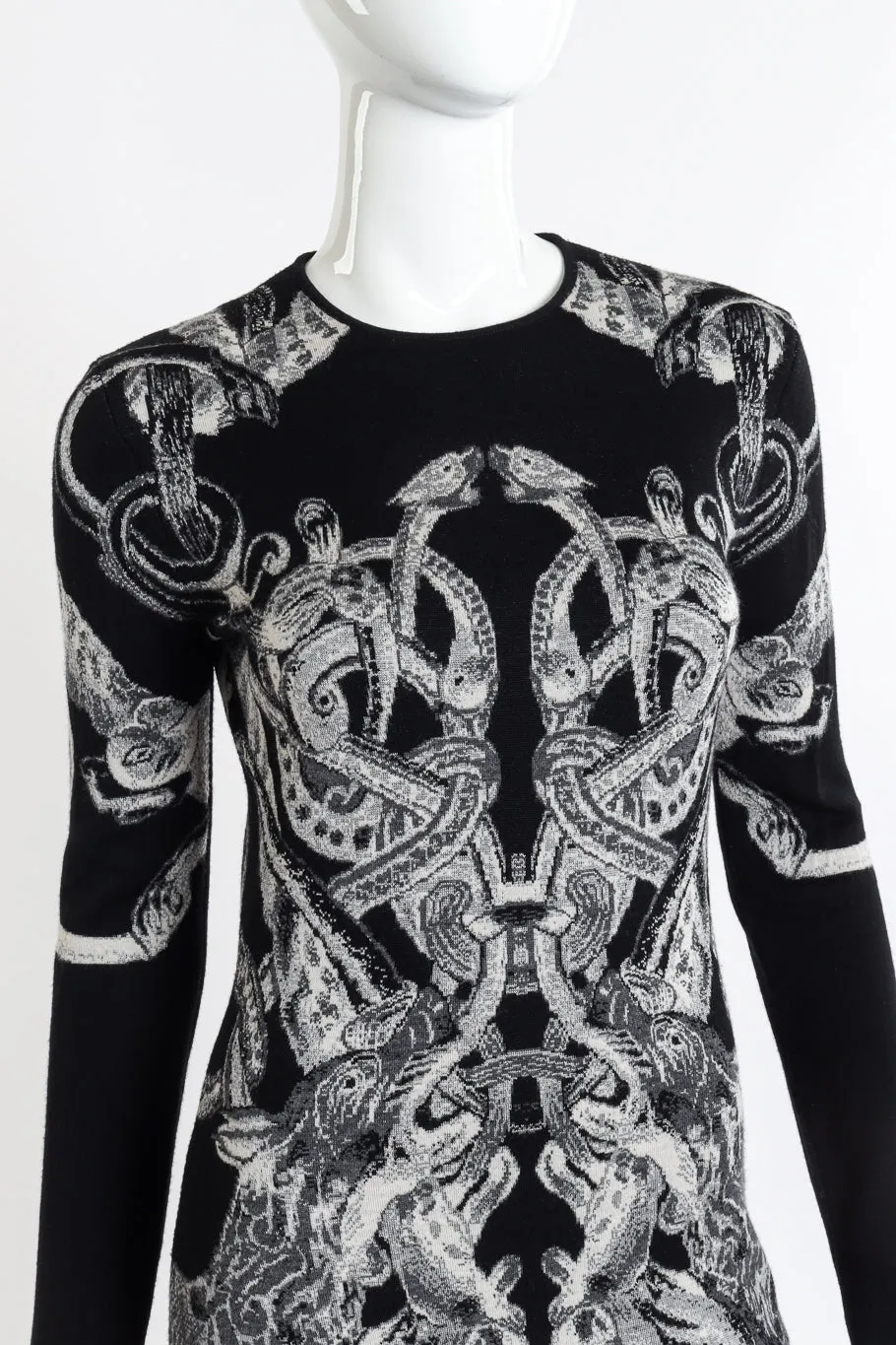 2010 A/W Graphic Knit Dress