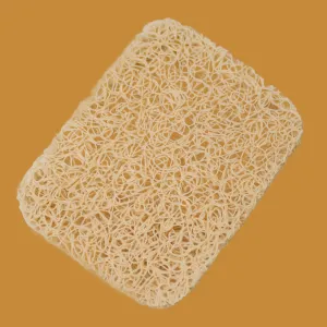 NOODLE SOAP LIFT